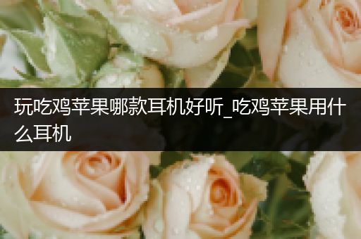 玩吃鸡苹果哪款耳机好听_吃鸡苹果用什么耳机