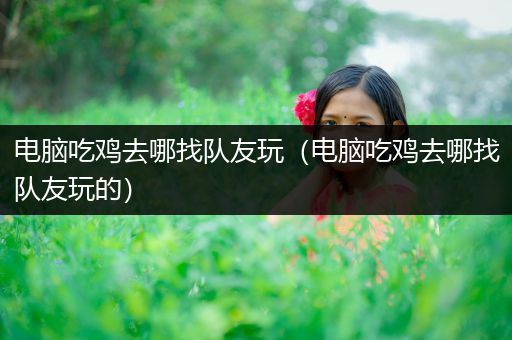 电脑吃鸡去哪找队友玩（电脑吃鸡去哪找队友玩的）