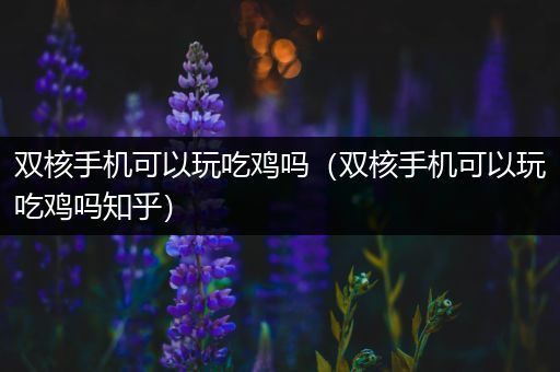 双核手机可以玩吃鸡吗（双核手机可以玩吃鸡吗知乎）