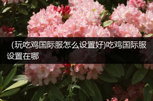 （玩吃鸡国际服怎么设置好)吃鸡国际服设置在哪