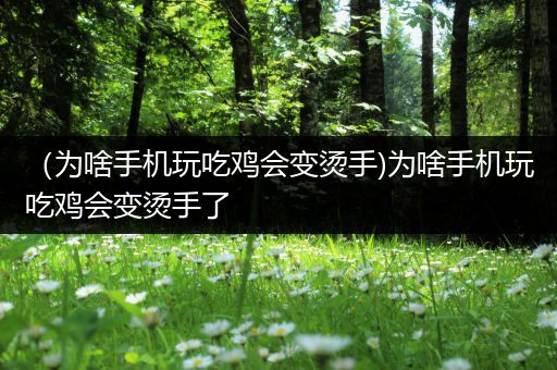 （为啥手机玩吃鸡会变烫手)为啥手机玩吃鸡会变烫手了