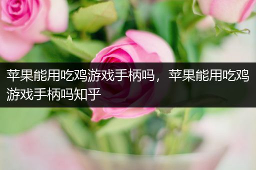 苹果能用吃鸡游戏手柄吗，苹果能用吃鸡游戏手柄吗知乎