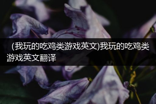 （我玩的吃鸡类游戏英文)我玩的吃鸡类游戏英文翻译