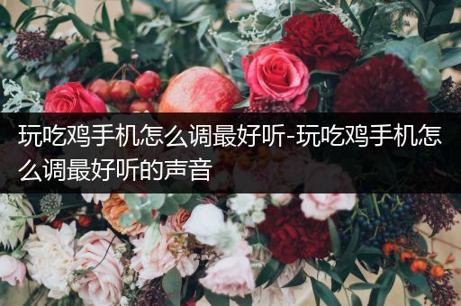 玩吃鸡手机怎么调最好听-玩吃鸡手机怎么调最好听的声音