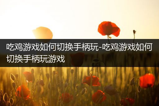 吃鸡游戏如何切换手柄玩-吃鸡游戏如何切换手柄玩游戏