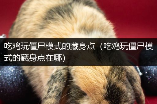 吃鸡玩僵尸模式的藏身点（吃鸡玩僵尸模式的藏身点在哪）