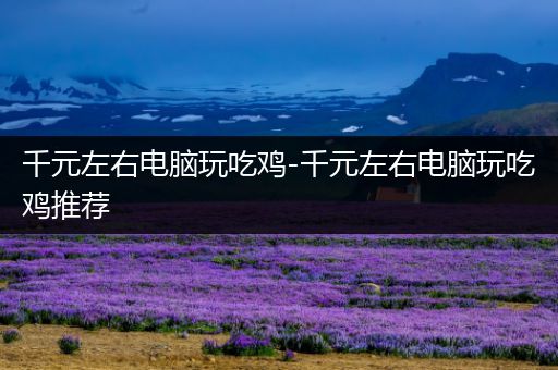 千元左右电脑玩吃鸡-千元左右电脑玩吃鸡推荐
