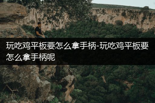 玩吃鸡平板要怎么拿手柄-玩吃鸡平板要怎么拿手柄呢