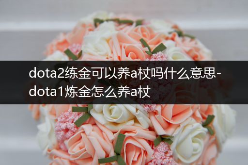 dota2练金可以养a杖吗什么意思-dota1炼金怎么养a杖