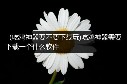 （吃鸡神器要不要下载玩)吃鸡神器需要下载一个什么软件