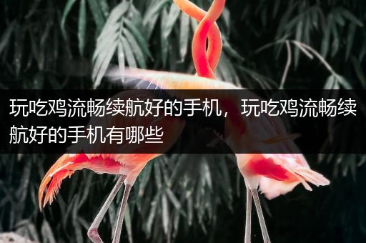 玩吃鸡流畅续航好的手机，玩吃鸡流畅续航好的手机有哪些