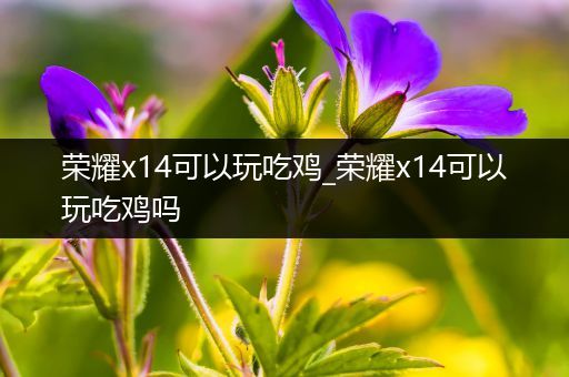 荣耀x14可以玩吃鸡_荣耀x14可以玩吃鸡吗