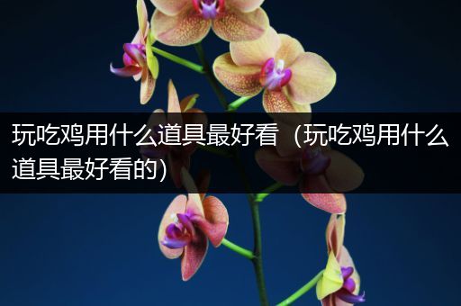 玩吃鸡用什么道具最好看（玩吃鸡用什么道具最好看的）