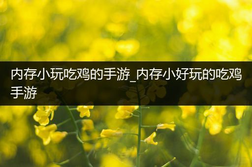 内存小玩吃鸡的手游_内存小好玩的吃鸡手游