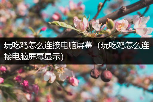 玩吃鸡怎么连接电脑屏幕（玩吃鸡怎么连接电脑屏幕显示）