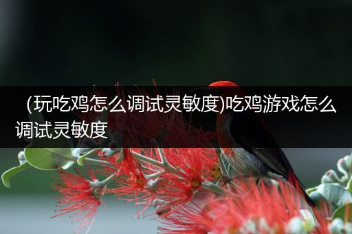（玩吃鸡怎么调试灵敏度)吃鸡游戏怎么调试灵敏度