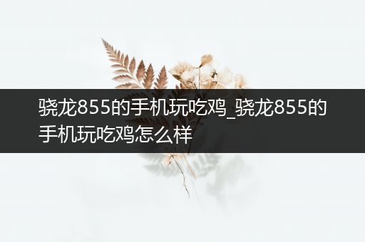 骁龙855的手机玩吃鸡_骁龙855的手机玩吃鸡怎么样