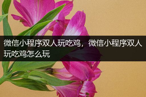 微信小程序双人玩吃鸡，微信小程序双人玩吃鸡怎么玩
