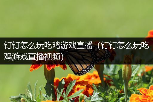 钉钉怎么玩吃鸡游戏直播（钉钉怎么玩吃鸡游戏直播视频）