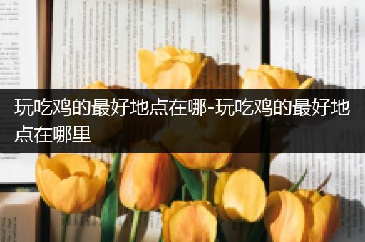 玩吃鸡的最好地点在哪-玩吃鸡的最好地点在哪里