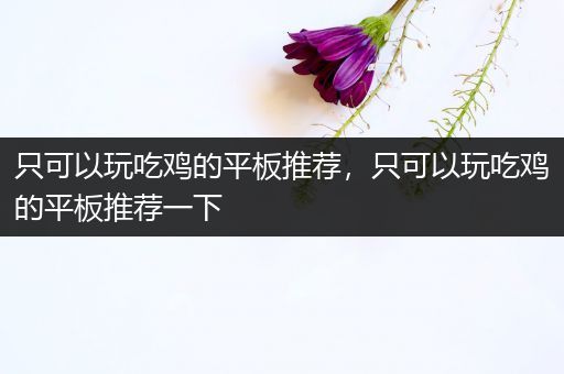 只可以玩吃鸡的平板推荐，只可以玩吃鸡的平板推荐一下