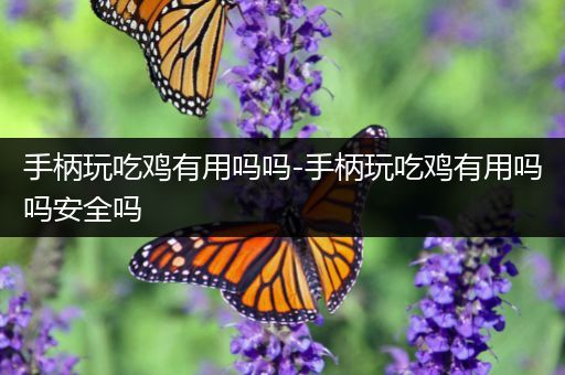 手柄玩吃鸡有用吗吗-手柄玩吃鸡有用吗吗安全吗
