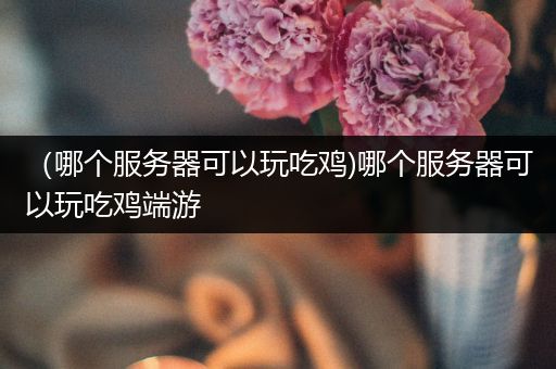 （哪个服务器可以玩吃鸡)哪个服务器可以玩吃鸡端游