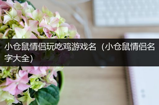 小仓鼠情侣玩吃鸡游戏名（小仓鼠情侣名字大全）