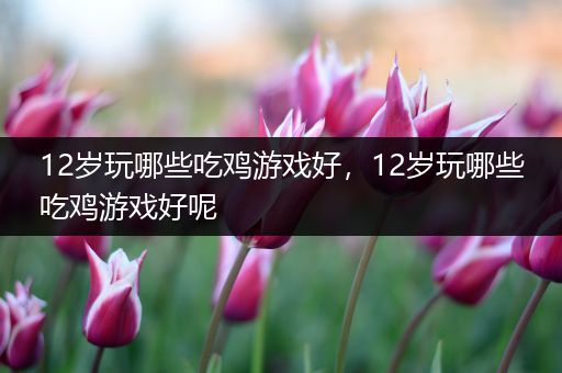 12岁玩哪些吃鸡游戏好，12岁玩哪些吃鸡游戏好呢