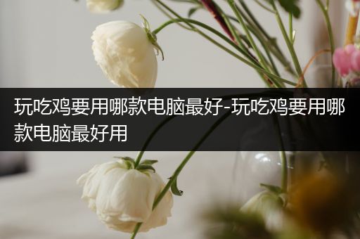 玩吃鸡要用哪款电脑最好-玩吃鸡要用哪款电脑最好用