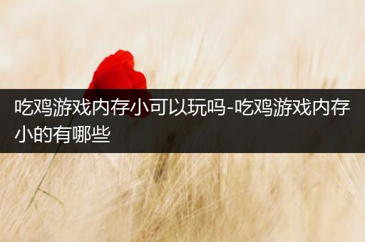 吃鸡游戏内存小可以玩吗-吃鸡游戏内存小的有哪些