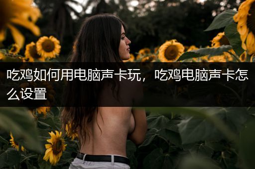 吃鸡如何用电脑声卡玩，吃鸡电脑声卡怎么设置