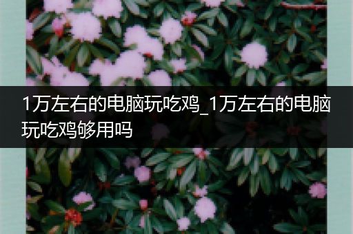 1万左右的电脑玩吃鸡_1万左右的电脑玩吃鸡够用吗