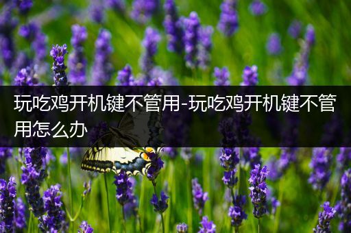 玩吃鸡开机键不管用-玩吃鸡开机键不管用怎么办
