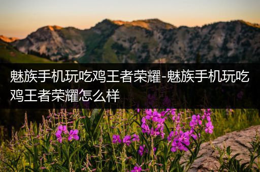 魅族手机玩吃鸡王者荣耀-魅族手机玩吃鸡王者荣耀怎么样