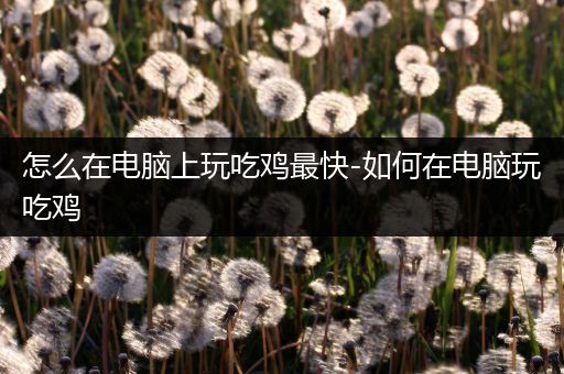 怎么在电脑上玩吃鸡最快-如何在电脑玩吃鸡