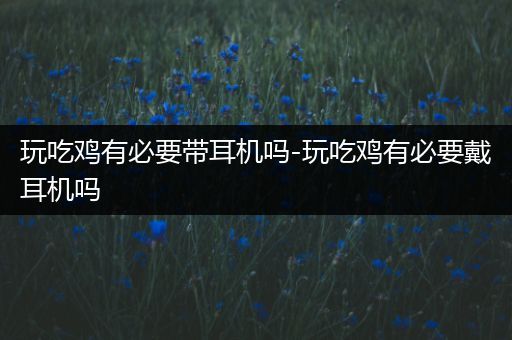 玩吃鸡有必要带耳机吗-玩吃鸡有必要戴耳机吗