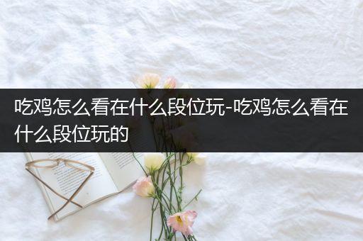 吃鸡怎么看在什么段位玩-吃鸡怎么看在什么段位玩的
