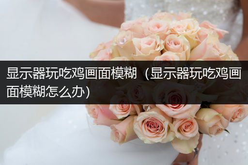 显示器玩吃鸡画面模糊（显示器玩吃鸡画面模糊怎么办）