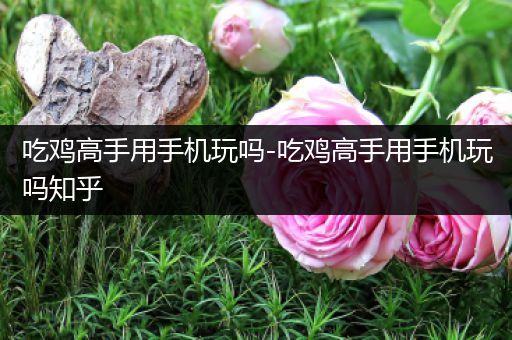 吃鸡高手用手机玩吗-吃鸡高手用手机玩吗知乎