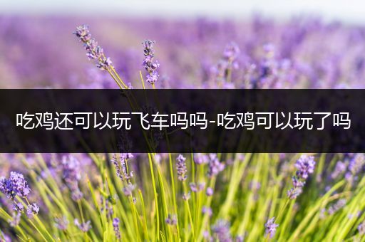 吃鸡还可以玩飞车吗吗-吃鸡可以玩了吗