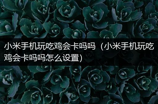 小米手机玩吃鸡会卡吗吗（小米手机玩吃鸡会卡吗吗怎么设置）
