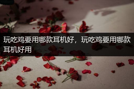 玩吃鸡要用哪款耳机好，玩吃鸡要用哪款耳机好用