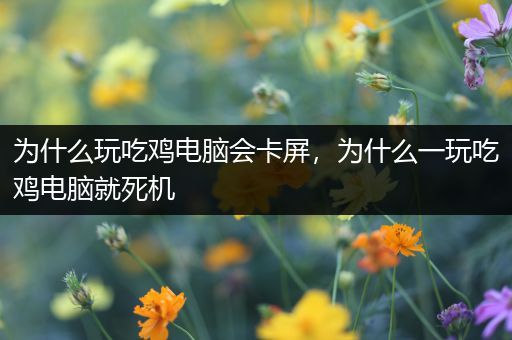 为什么玩吃鸡电脑会卡屏，为什么一玩吃鸡电脑就死机