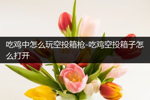 吃鸡中怎么玩空投箱枪-吃鸡空投箱子怎么打开