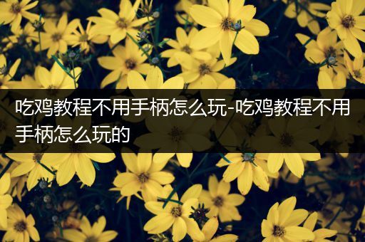 吃鸡教程不用手柄怎么玩-吃鸡教程不用手柄怎么玩的