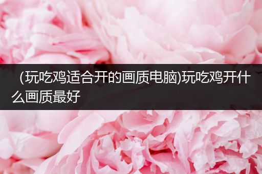 （玩吃鸡适合开的画质电脑)玩吃鸡开什么画质最好