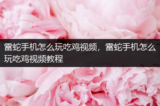 雷蛇手机怎么玩吃鸡视频，雷蛇手机怎么玩吃鸡视频教程