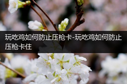 玩吃鸡如何防止压枪卡-玩吃鸡如何防止压枪卡住