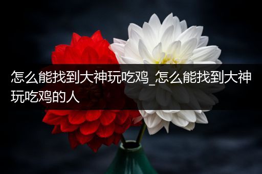 怎么能找到大神玩吃鸡_怎么能找到大神玩吃鸡的人